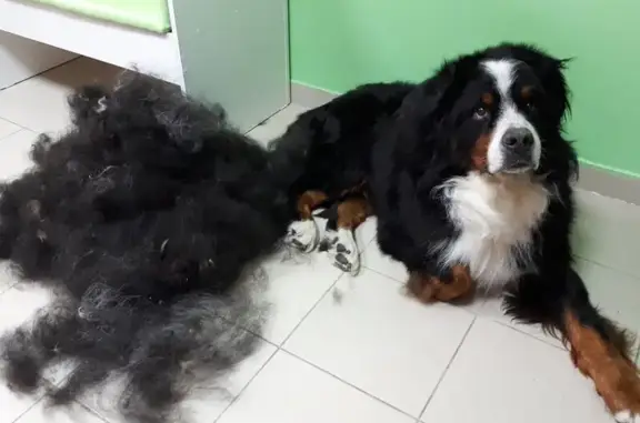 Зоосалон Боня и Соня