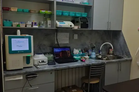 Ветмастер, ветеринарная клиника