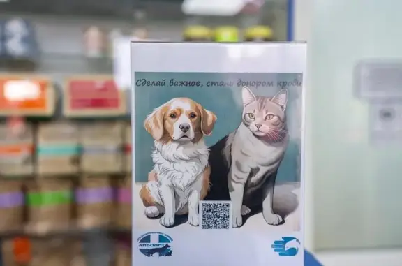 Айболит, ветеринарная клиника