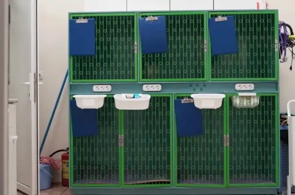 Ноев ковчег, ветеринарный центр