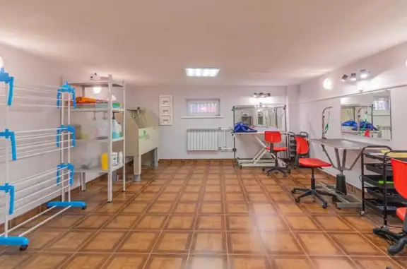 Зоопарикмахерская Северная Венеция на улице Севастьянова