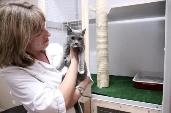 Ветеринарная клиника Надомвет на улице Антонова-Овсеенко, 31А