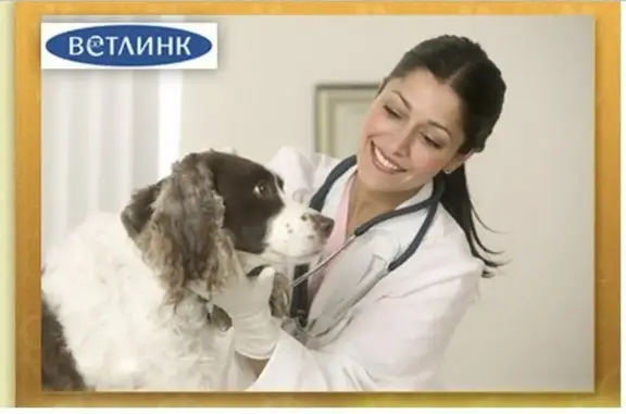 Ветлинк, ветеринарный центр