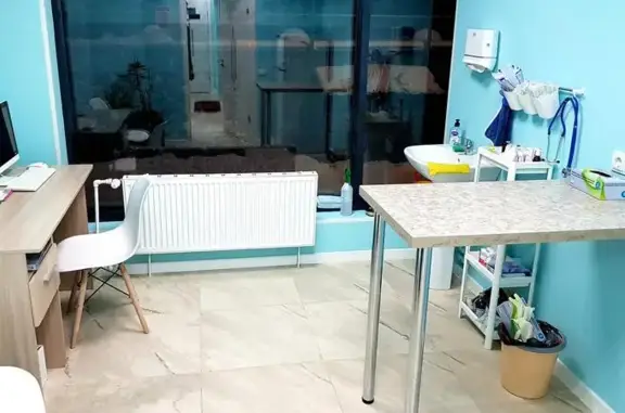 Сова, Ветеринарная клиника