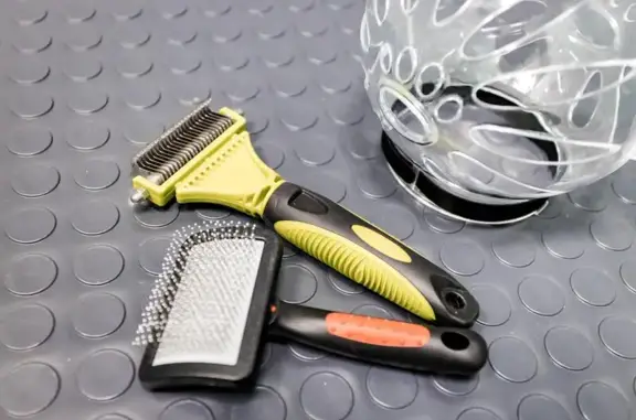 Цацагрум в Реутове