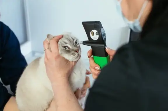 Ветеринарная клиника Доктор МяуБолит