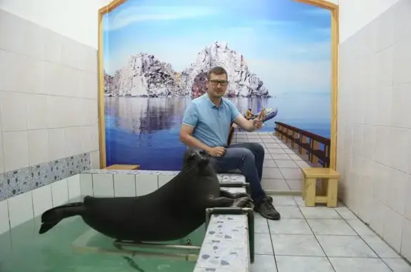 Нерпинарий