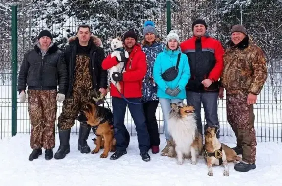 Школа дрессировки на улице Химиков в Менделеевске