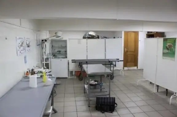 Каштанка, ветеринарный центр