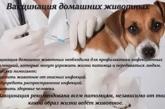 Ветеринарный центр Балу в 3-м микрорайоне в посёлке Краснообск