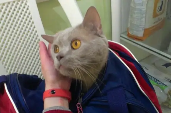 Зоовита, ветеринарная клиника