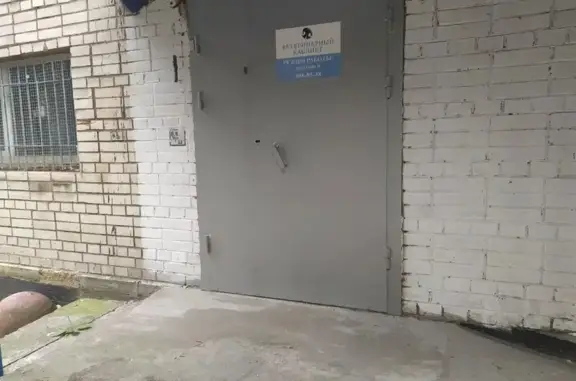 Ветеринарный кабинет на метро Площадь Мужества