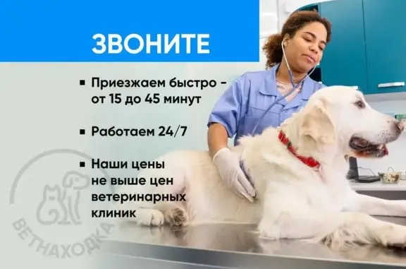 Ветеринарная служба Ветнаходка в Мурино