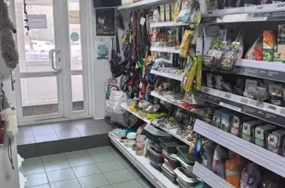 Четверолапов, ветеринарный кабинет