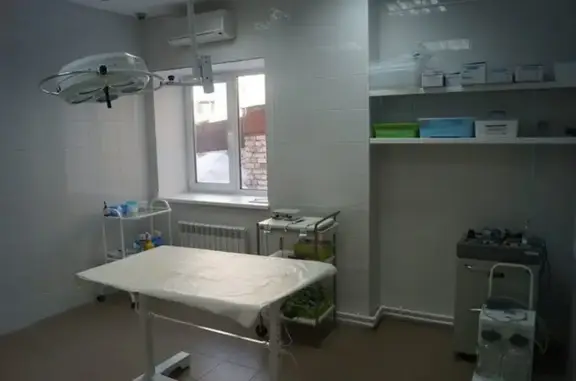 Бося, ветеринарная клиника