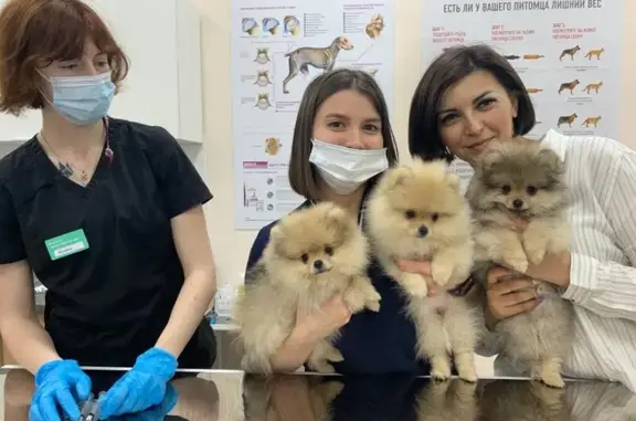 Petshop, ветеринарный кабинет