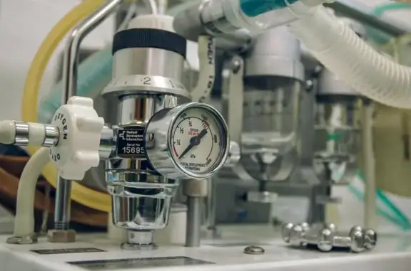 Ветеринарная клиника доктора Чулковой Г.Б.