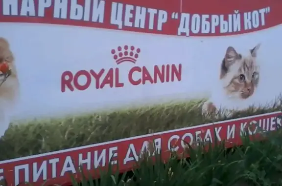 Добрый кот, ветеринарный центр