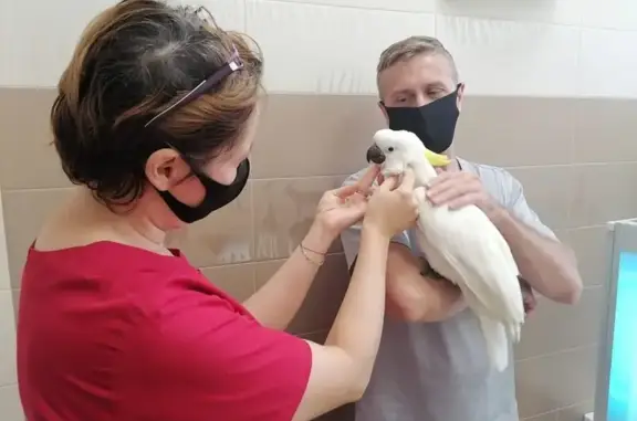 Ветеринарная клиника ДокторВет на проспекте Ибрагимова, 63а