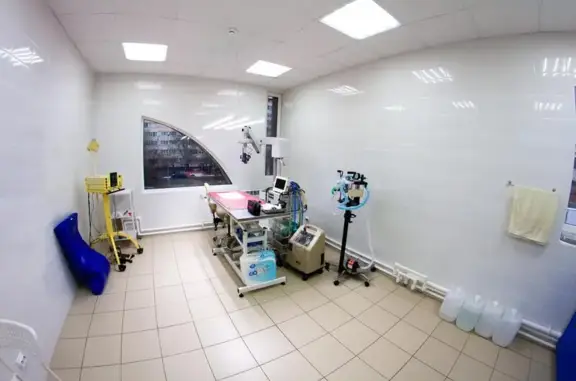 Ветеринарная клиника Вега на улице Маршала Казакова