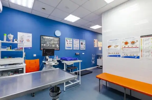 Зоопорт, ветеринарная клиника