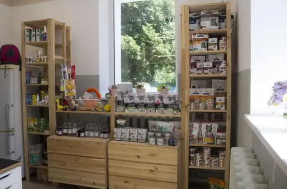 Vetman, центр ветеринарии