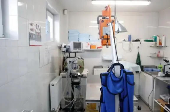 Ветеринарная клиника Мос-Вет 24 на улице Василисы Кожиной