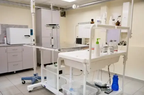 Зоопорт, ветеринарная клиника