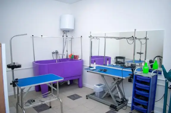 Вет Таун, ветеринарный центр