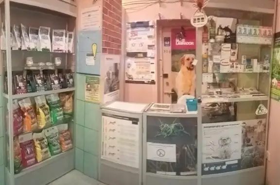 Ветеринарная клиника Альфа-вет на проспекте Ветеранов