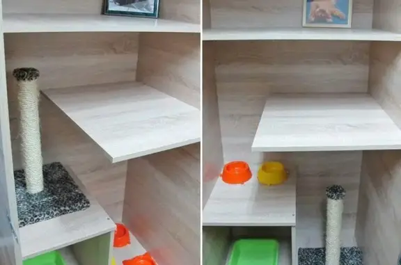 Зоогостиница Питомцы в радости на улице Лабутина