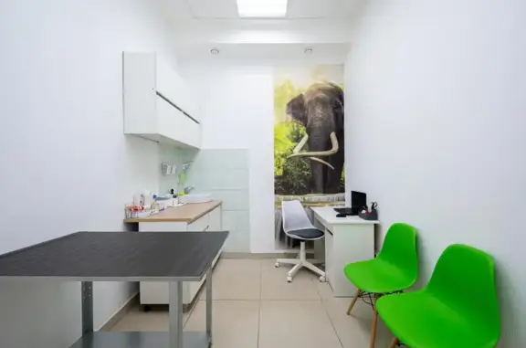 Два слона, ветеринарная клиника