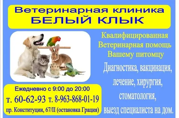 Белый клык, ветеринарная клиника