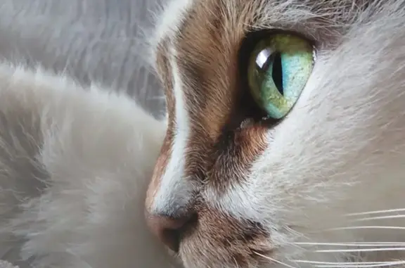 Ветэксперт, ветеринарный центр