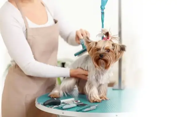 Айболит, ветеринарный центр