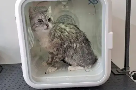 Зоосалон Лоя